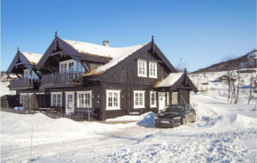 Amazing Home In Rauland With Kitchen